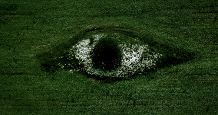 Olho humano observando a natureza